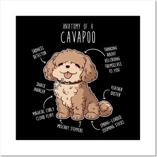 Cavapoo Dog Anatomy Posters and Art